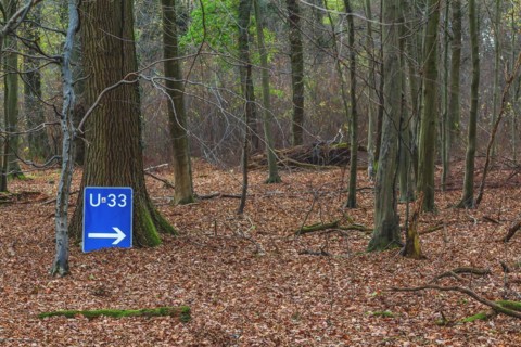 A blue diversion sign in the forest points unexpectedly in one direction, surrounded by autumnal