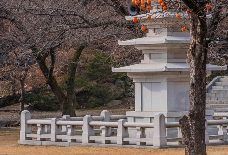 Concrete five story pagoda (only three visible) in concrete enclosure next to barren tree in Buddha