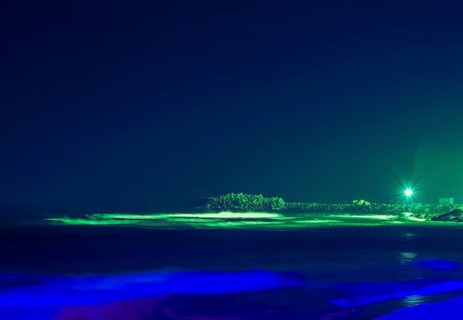 Night scene of ocean pier with single street light taken with long shutter speed creating blue