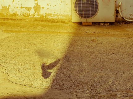 Shadow of a flying bird on sunny concrete driveway with old air conditioning unit and building wall