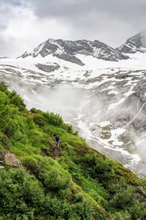 Mountaineers on a hiking trail, in the background glaciated peak Dosso Largo and glacier
