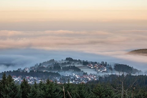 Landscape on the Grosser Feldberg, Taunus volcanic region. A cloudy, sunny winter day, meadows,