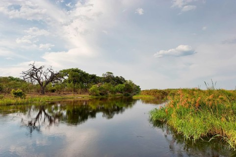 River cruise in the Okavango Delta, reeds, clouds, nature, natural landscape, landscape, nobody,