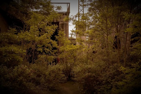 Dilapidated structure surrounded by dense vegetation, mysterious atmosphere, former Rethel railway