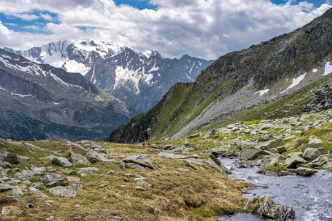 Mountaineers on a hiking trail, Berliner Hoehenweg, mountain panorama with glaciated mountain