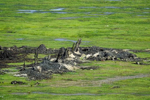 Remains of a shipwreck, Greve de Tibidy at low tide, Hopital-Camfrout, Bay of Brest, Finistere Penn