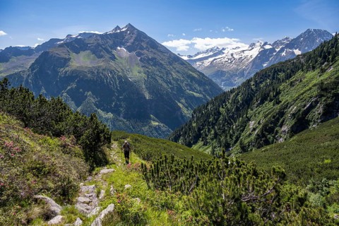 Mountaineer on hiking trail, Berliner Hoehenweg, summit Grosser Ingent and Grosser Greiner,