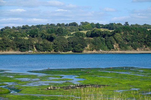 Greve de Tibidy at low tide, Hopital-Camfrout, Bay of Brest, Finistere Penn ar Bed, Bretagne