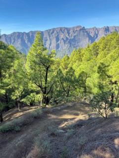Mirador de Los Roques, Caldera de Taburiente, La Palma, Canary Islands, Spain, Europe