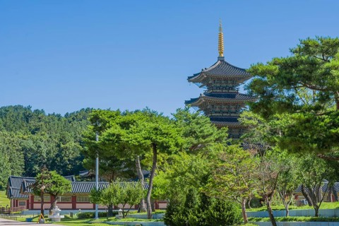 Tall oriental pagoda with tiled roof and golden spire and partial view of surrounding buildings