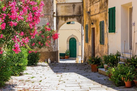 Narrow cobbled alley with potted plants and flowering bushes in Sant'ilario in Campo, Elba, Tuscan
