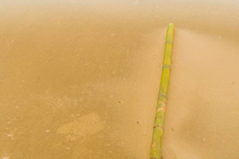 Solitary bamboo pole laying on windswept beach with streaks of sand being blown across the ground