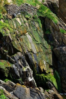Moss-covered cliff below the Pointe Saint-Mathieu, Plougonvelin, Finistere department, Brittany