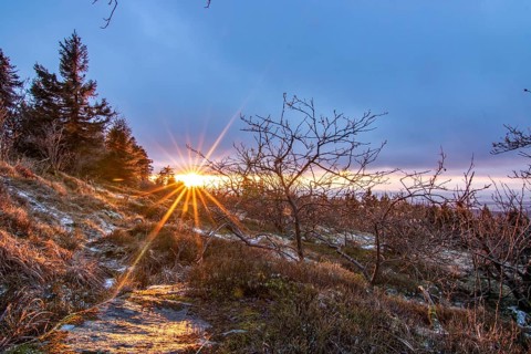 Landscape on the Grosser Feldberg, Taunus volcanic region. A cloudy, sunny winter day, meadows,