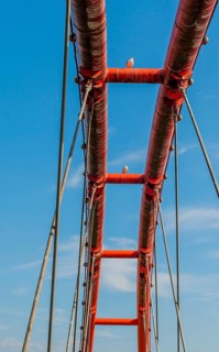 Three seagulls perched on top of dirty orange bridge with beautiful blue sky in background