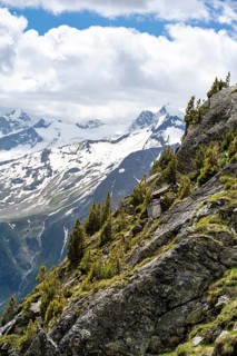 Mountain panorama with glaciated summit Grosser Moeseler and Turnerkamp, Berliner Hoehenweg,
