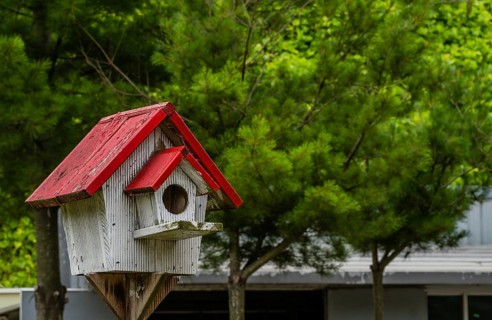 Closeup of white birdhouse with red roof on wooden stand with trees and white building in