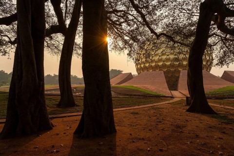 Sunrise, old banyan tree, meditation centre Matrimandir or Matri Mandir, future city Auroville,