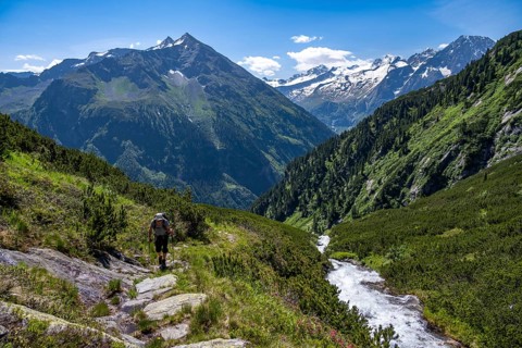 Mountaineer on a hiking trail by a stream, Berliner Hoehenweg, summit Grosser Ingent and Grosser