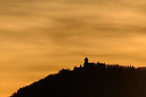 Silhouette of the Haut Koenigsbourg on the top of a mountain. Bas-Rhin, Alsace, Grand Est, France,