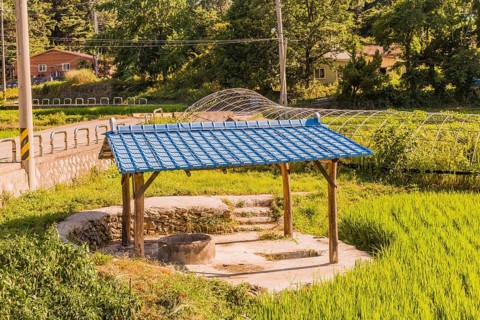Concrete irrigation well under structure with blue metal roof at edge of rice paddy in rural