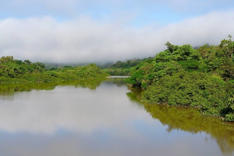 Morning fog on the Amana River, an Amazon tributary, Amazonas state, Brazil, South America