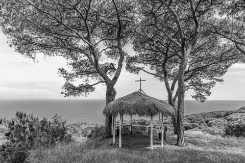 Small makeshift chapel with thatched roof under pine trees at the Tenuta delle Rippelte winery,