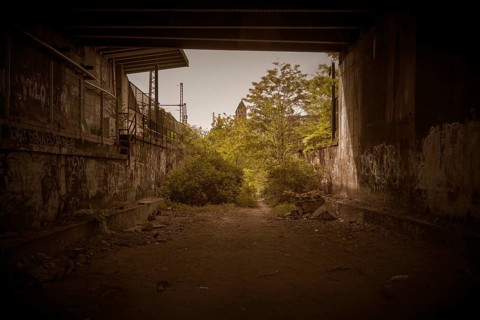 An abandoned railway line, overgrown with plants, with graffiti on the walls, former Rethel railway