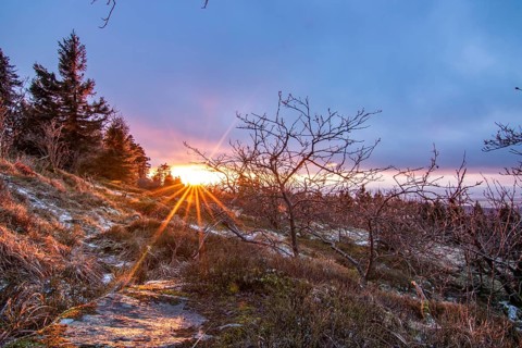 Landscape on the Grosser Feldberg, Taunus volcanic region. A cloudy, sunny winter day, meadows,