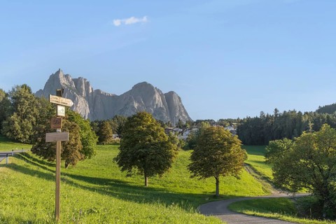 Various signposts, in the background the Schlern, seen from the direction of Kastelruth, Dolomites,