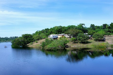 Settlement along an Amazon tributary, Amazonas state, Brazil, South America