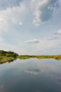 River cruise in the Okavango Delta, reeds, clouds, nature, natural landscape, landscape, nobody,
