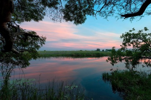 Riverbank in the evening sun in the Okavango Delta on the Kwando River in BwaBwata National Park,