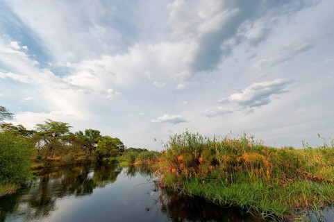 River cruise in the Okavango Delta, reeds, clouds, nature, natural landscape, landscape, nobody,
