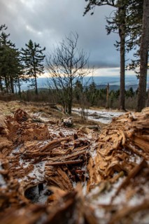 Landscape on the Grosser Feldberg, Taunus volcanic region. A cloudy, sunny winter day, meadows,