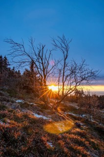 Landscape on the Grosser Feldberg, Taunus volcanic region. A cloudy, sunny winter day, meadows,