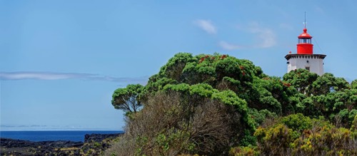 View of the lighthouse Farol da Ponta da Iha, surrounded by green flora and red blossoming trees,