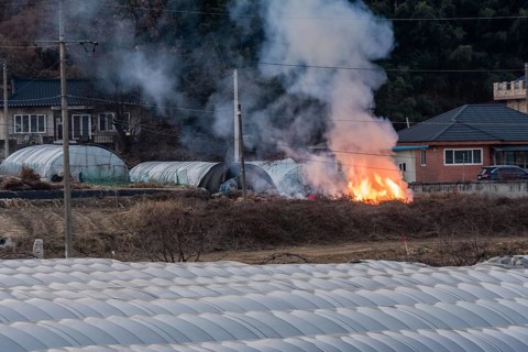 Large open fire with yellow flames and billowing smoke outside near a red brick house and three