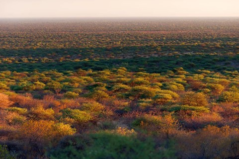 African country in the Waterberg area, nature, wide view, flora, country, landscape, evening sun,