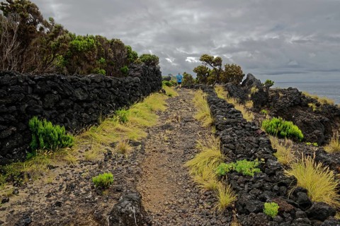 Trail through barren volcanic rock with scattered green plants under a cloudy sky, north coast,