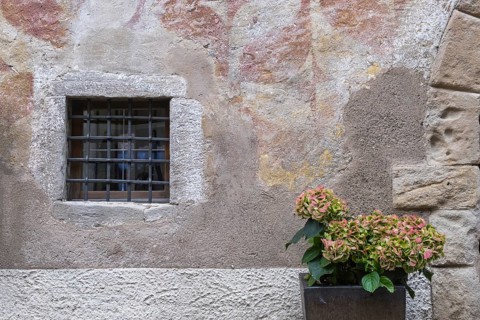 Small barred window, flower pot with hydrangea, Kaltern (Caldero) in South Tyrol