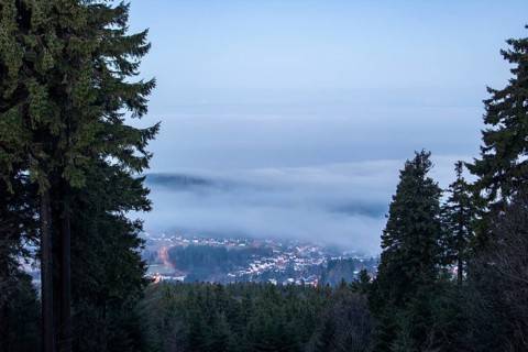 Landscape on the Grosser Feldberg, Taunus volcanic region. A cloudy, sunny winter day, meadows,