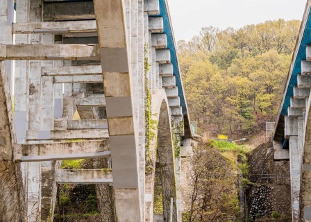 Landscape of Ivy vines crawling up large concrete bridges with wooded area and a dull white sky in
