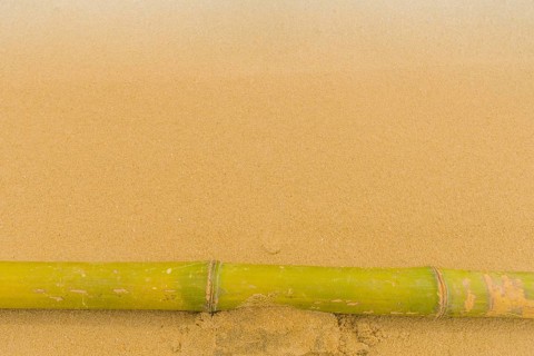 Solitary bamboo pole laying on windswept beach with streaks of sand being blown across the ground
