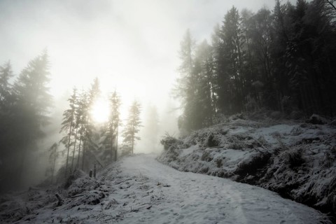 Winter landscape, forest, snow, fog, sun, Radenthein, Carinthia