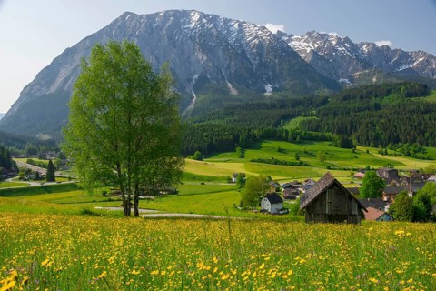 Summer austrian landscape with Grimming mountain (2.351 m), an isolated peak in the Dachstein