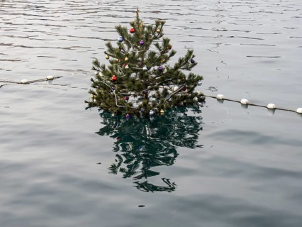 Christmas tree in the harbour basin, harbour of Mali Losinj, island of Losinj, Kvarner Gulf Bay,