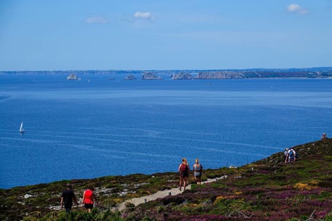 Heath landscape on the Cap de la Chevre, behind Pointe de Pen Hir with the rocks Les Tas de Pois,