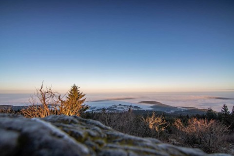 Landscape on the Grosser Feldberg, Taunus volcanic region. A cloudy, sunny winter day, meadows,