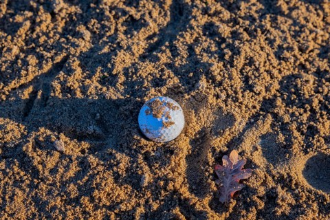 Golf Ball in Sand Trap on Golf Course and a Leaf in a Sunny Day in Switzerland